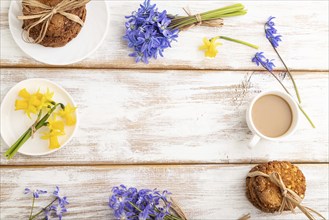 Frame composition with oatmeal cookies, spring snowdrop flowers bluebells, narcissus and cup of