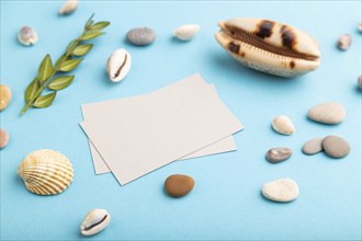 Composition with gray paper business cards, seashells, green boxwood. mockup on blue pastel