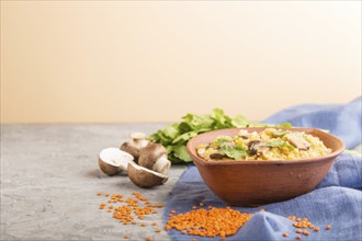 Lentils porridge with champignons and coriander in a clay bowl on a gray and orange background and