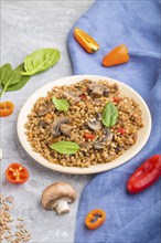 Spelt (dinkel wheat) porridge with vegetables and mushrooms on ceramic plate on a gray concrete