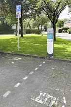 Left Traffic sign Car park for electric cars only Electric cars Electric cars during charging