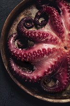 Boiled octopus, close-up, rustic style, no people, top view, close-up