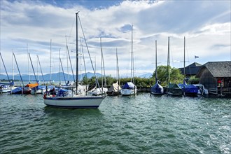 Sailing boats in Seebruck marina, Seeon, Chiemsee, Chiemgau, Upper Bavaria, Bavaria, Germany,