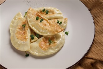 Pierogi, a traditional dish of Polish cuisine, dumplings, top view, close-up, no people