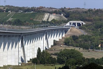 An aerial photo shows an ICE train travelling over the Unstruttal bridge near Karsdorf. The