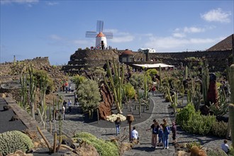 Cactus garden, Jardin de Cactus, designed by the artist César Manrique, behind the restored gofio