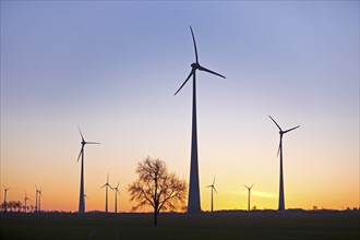 Wind turbines at dawn, Wevelsburg wind farm, Büren, Paderborn plateau, North Rhine-Westphalia,