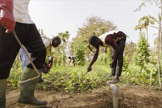 Farmers practising organic farming at the agroecological training centre Centre Beo-Noree in