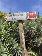 Signpost on the PR1 hiking trail from Pico Arieiro to Pico Ruvio, Madeira, Portugal, Europe