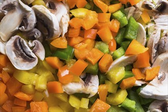 Close-up of diced green, orange and yellow bell peppers, sliced white mushrooms, Studio