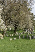 Jewish cemetery, established 1734, last occupancy 1934, Hagenbach, Upper Franconia, Bavaria,