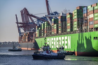 Container ship Ever Gifted, arriving at the port of Hamburg, Waltershofer Hafen, HHLA Container