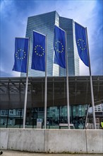 Building of the European Central Bank, ECB, in Frankfurt am Main, Skyline, Hesse, Germany, Europe