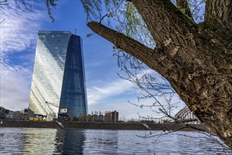 Building of the European Central Bank, ECB, on the Main in Frankfurt, Hesse, Germany, Europe