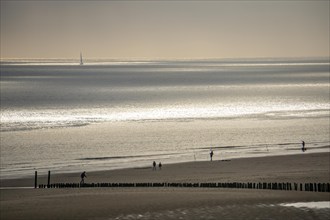 Evening mood on the North Sea beach near Zoutelande, Zeeland, anglers, walkers, breakwater,