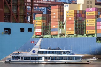 Harbour tour in Waltershofer Hafen, HHLA Container Terminal Burchardkai, HMM Nuri container