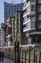 Residential building at Dalmannkai, Grasbrookhafen, behind the Elbe Philharmonic Hall, Hafencity