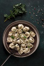 Dumplings, on a dark background, with spices and herbs, vertical, no people