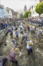 Fishing out the town stream, fishing day in Memmingen, Unterallgäu, Allgäu, Bavaria, Germany,