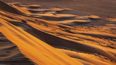 Wind-sculpted sand dunes at sunrise in the Rub al Khali desert, Dhofar province, Arabian Peninsula,