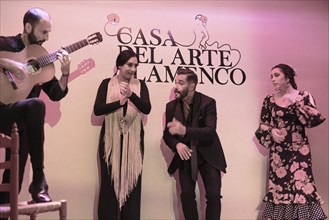 Flamenco performance with musicians and dancers in festive dress on a stage, Granada