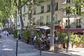 Lively street café with customers under shady trees, Paris