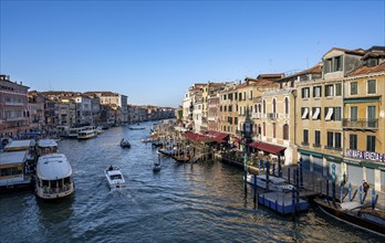 View of the Grand Canal with water taxis and vaporetto in the evening light, view from the Rialto