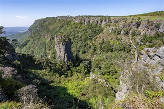 Rock needle in a densely forested canyon, Pinnacle Rock, view over canyon landscape, near Graskop,