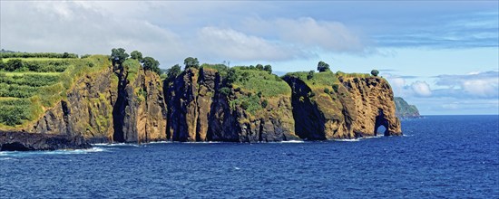 Coastal cliffs looking like a giant elephant with vegetation at the edge of the blue ocean and