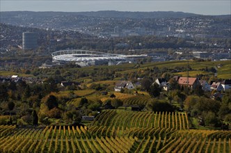 View of MHPArena, MHP Arena, Gaskessel, Stuttgart, over vineyard, vines, grapevines, viticulture,