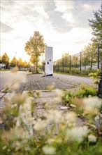 A roadside electric charging station surrounded by flowering plants and urban surroundings at