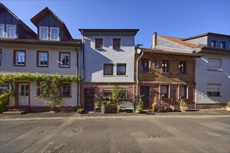 Facades of houses with flowers, bench and vine (Vitis vinifera) in the evening sun in the