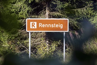 Rennsteig, popular hiking trail in the Thuringian Forest with signposts. Oberhof, Thuringia,