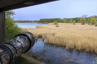 Telephoto lens, telelens of wildlife photographer pointing at lake and reed bed from bird hide in