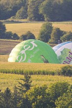 Two hot air balloons, one green and the other blue, lie deflated in a cornfield near a forest,