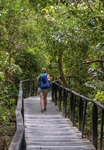 Young tourist on a path in the jungle in Cahuita National Park, Costa Rica, Central America