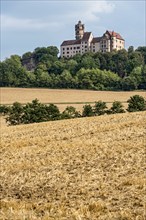 Ronneburg Castle, knight's castle from the Middle Ages, harvested grain fields, field, hill,