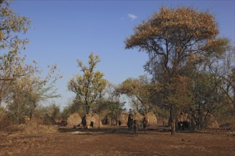 South Ethiopia, in the Maco National Park, in the village of the Mursi, Ethiopia, Africa