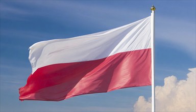 Flags, the national flag of Poland flutters in the wind