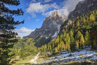 The Sella Group mountain landscape in the Alps with forest and snow under a sunny sky, South Tyrol,