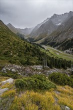 Green mountain valley with river and steep mountain peaks, Chong Kyzyl Suu Valley, Terskey Ala Too,