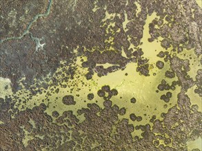 Marshland at low tide. Nature Reserve La Breña y Marismas del Barbate. Aerial view. Drone shot.