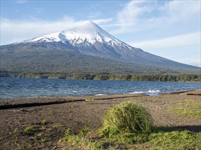 Beach Playa Ensenada, lake Llanquihue, volcano Osorno, chilenean lake district, Los Lagos region,