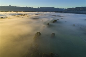 Aerial view of meadows and trees in front of mountains, sunrise, fog, autumn, Murnau, Alpine