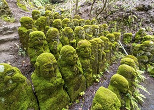 Moss-covered stone statues of rakans, the disciples of Buddha, Otagi Nenbutsu-ji temple, Kyoto,