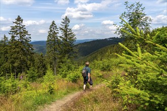 Hiking in the Sauerland, trail near Jagdhaus, Rothaarsteig district of Schmallenberg, North