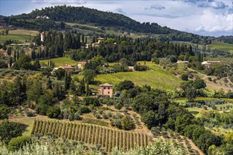 Hilly landscape, Tourism, Travel, Tuscany, Italy, Europe