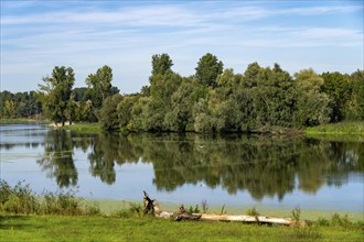 Bislicher Insel nature reserve, near Xanten on the Lower Rhine, floodplain landscape, old Rhine