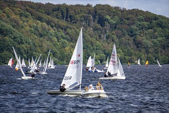 Lake Baldeney, sailing regatta, laser and dinghy class, Essen, North Rhine-Westphalia, Germany,