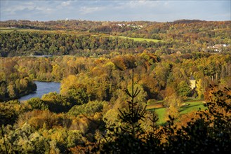 Autumnal forest along the Ruhr valley between Essen-Kettwig and Essen-Werden, seen from Öfter Wald,